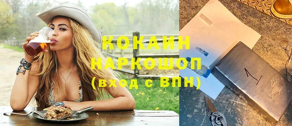 соль ск Арсеньев